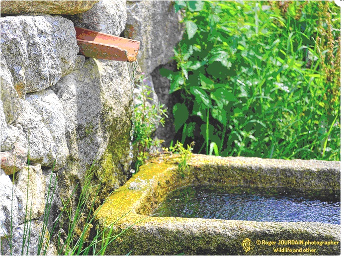 Une source